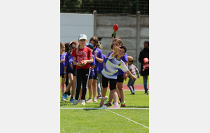 6a3a96caa85bb_IMG0304.JPG