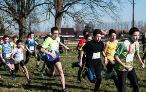 Cross international d'Hergnies