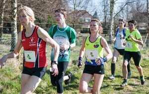 Cross international d'Hergnies