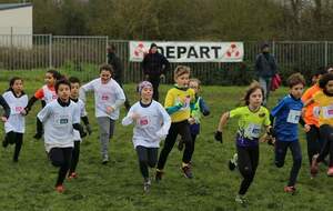 13ème Cross International Hergnies