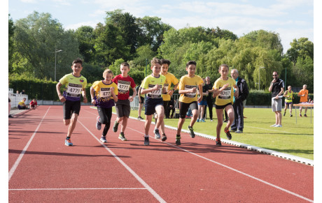 REPRISE DES ACTIVITES